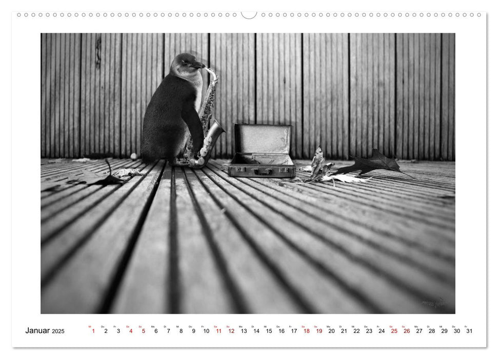 Pinguine privat (CALVENDO Premium Wandkalender 2025)