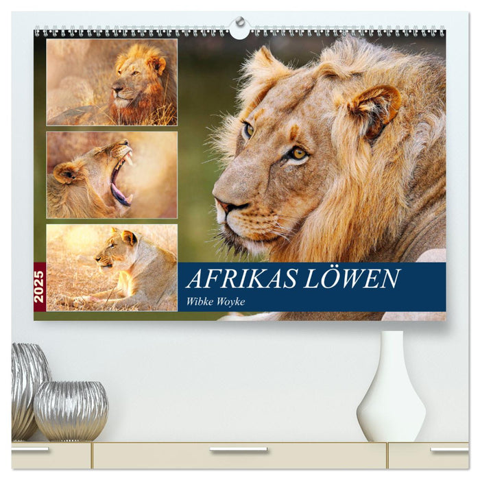 Afrikas Löwen 2025 (CALVENDO Premium Wandkalender 2025)