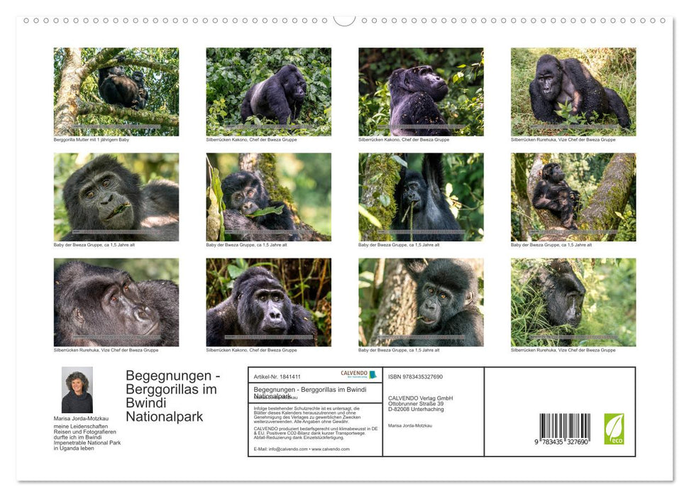 Begegnungen - Berggorillas im Bwindi Nationalpark (CALVENDO Premium Wandkalender 2025)