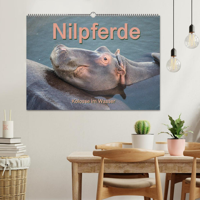 Nilpferde, Kolosse im Wasser (CALVENDO Wandkalender 2025)