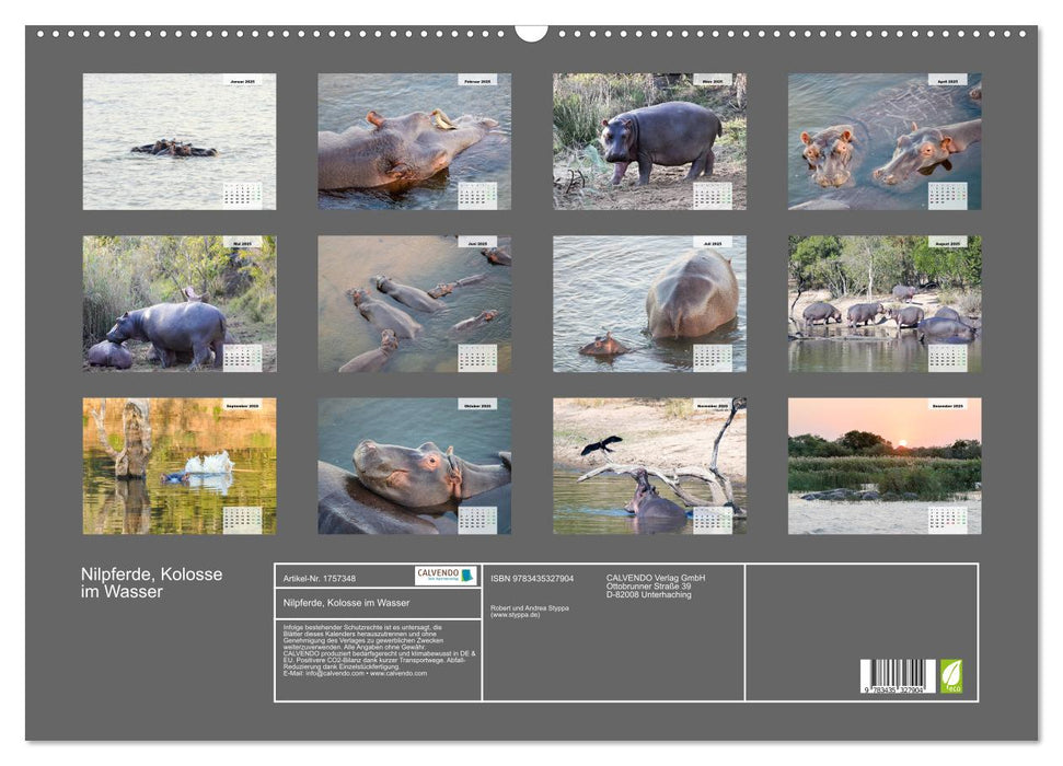 Nilpferde, Kolosse im Wasser (CALVENDO Wandkalender 2025)