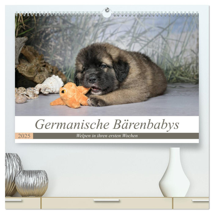 Germanische Bärenbabys (CALVENDO Premium Wandkalender 2025)