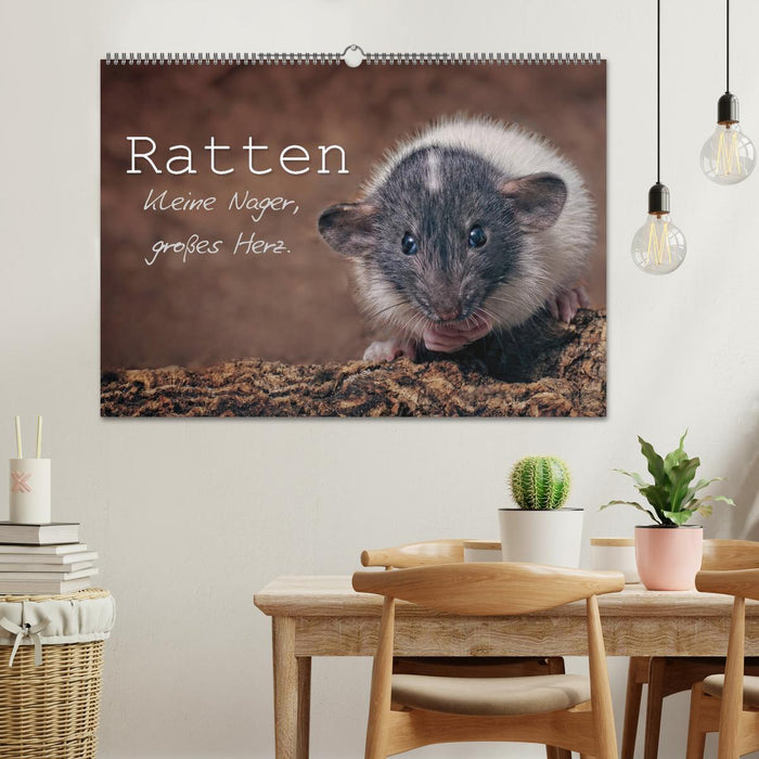 Ratten. Kleine Nager, großes Herz. (CALVENDO Wandkalender 2025)