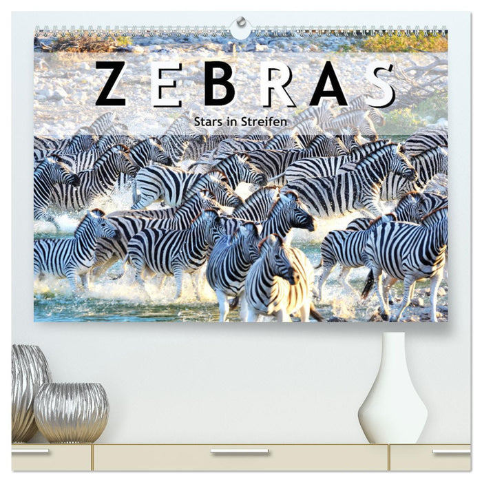 Zebras, Stars in Streifen (CALVENDO Premium Wandkalender 2025)