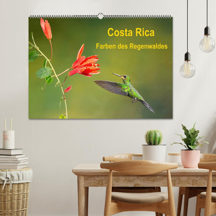 Costa Rica - Farben des Regenwaldes (CALVENDO Wandkalender 2025)