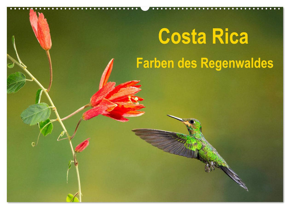 Costa Rica - Farben des Regenwaldes (CALVENDO Wandkalender 2025)