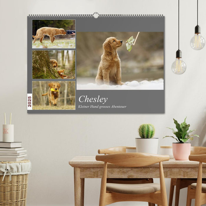 Chesley Kleiner Hund Grosses Abenteuer (CALVENDO Wandkalender 2025)