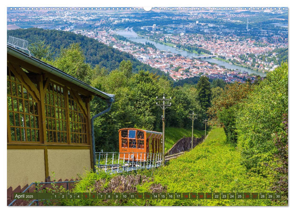 Heidelberger Neckarzauber (CALVENDO Premium Wandkalender 2025)