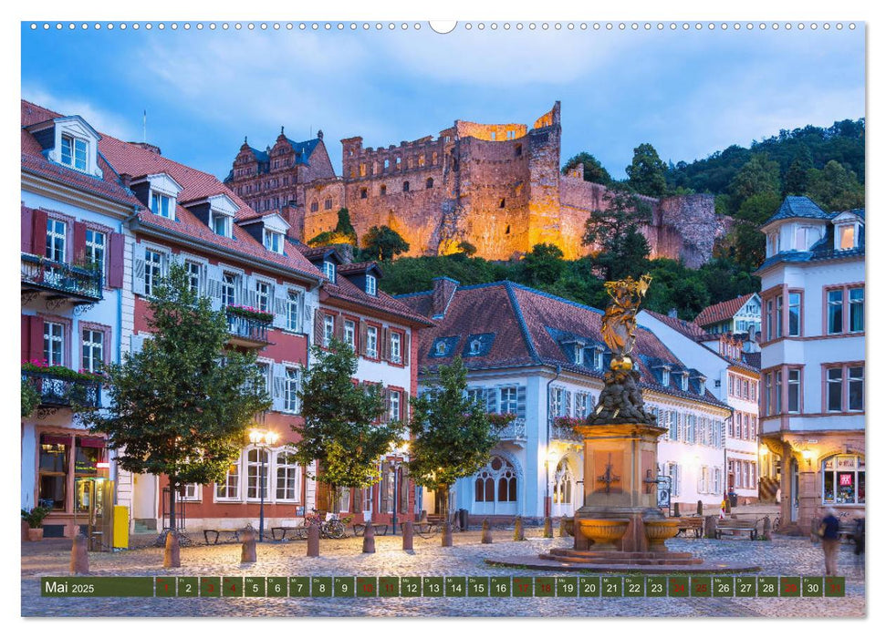 Heidelberger Neckarzauber (CALVENDO Premium Wandkalender 2025)