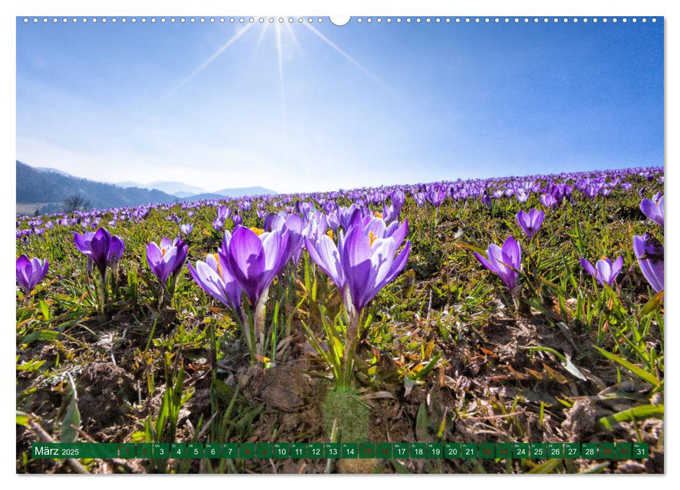 Oberösterreich Urlaubsregion Pyhrn-Eisenwurzen (CALVENDO Wandkalender 2025)