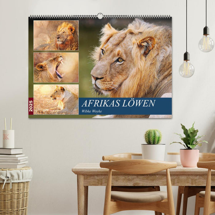 Afrikas Löwen 2025 (CALVENDO Wandkalender 2025)