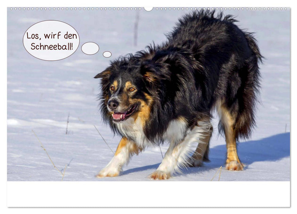 Frei Schnauze 2025. Was Hunde am liebsten sagen würden (CALVENDO Premium Wandkalender 2025)