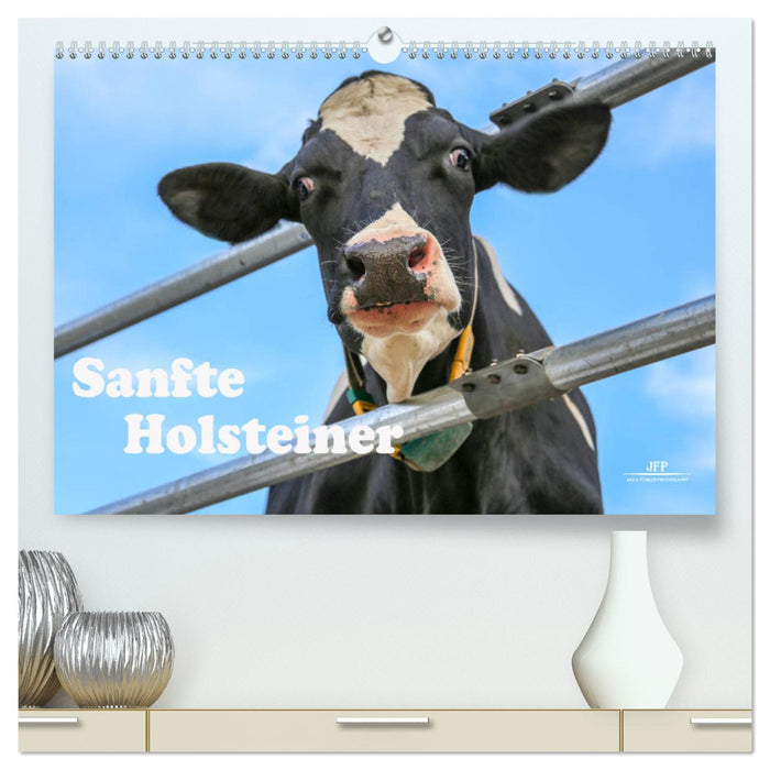 Sanfte Holsteiner (CALVENDO Premium Wandkalender 2025)