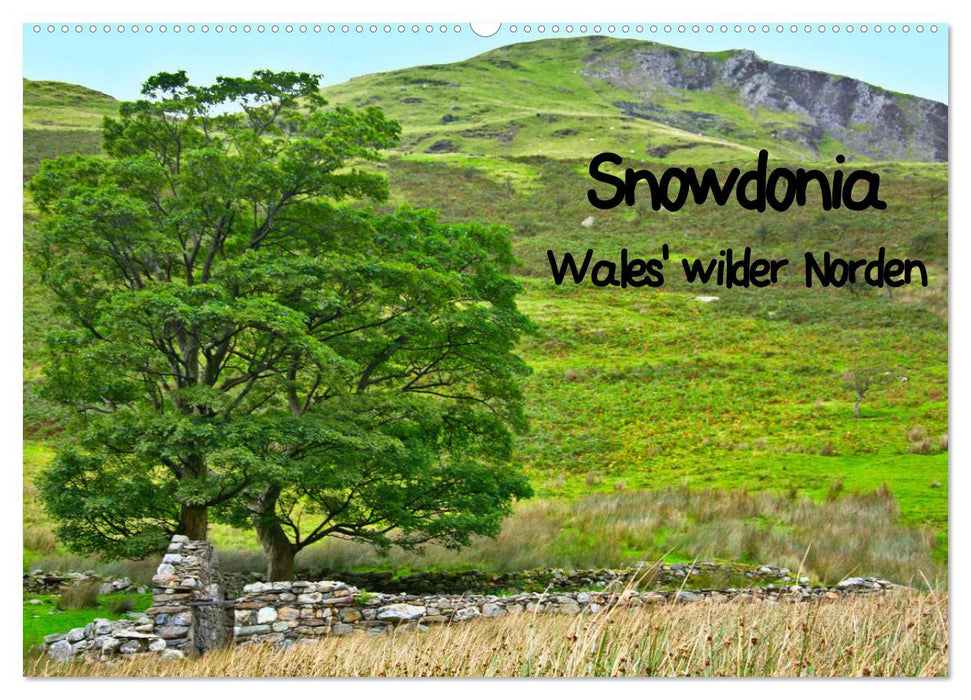 Snowdonia - Wales' wilder Norden (CALVENDO Wandkalender 2025)