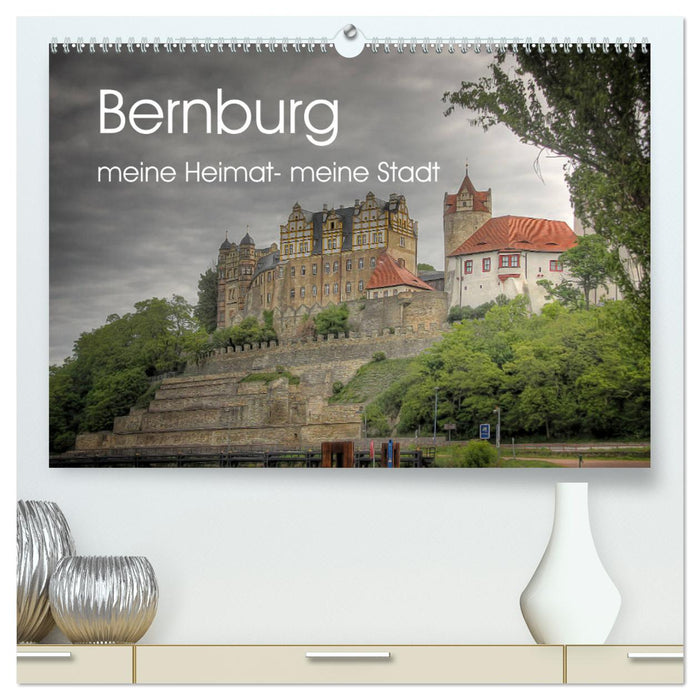 Bernburg meine Heimat - meine Stadt (CALVENDO Premium Wandkalender 2025)