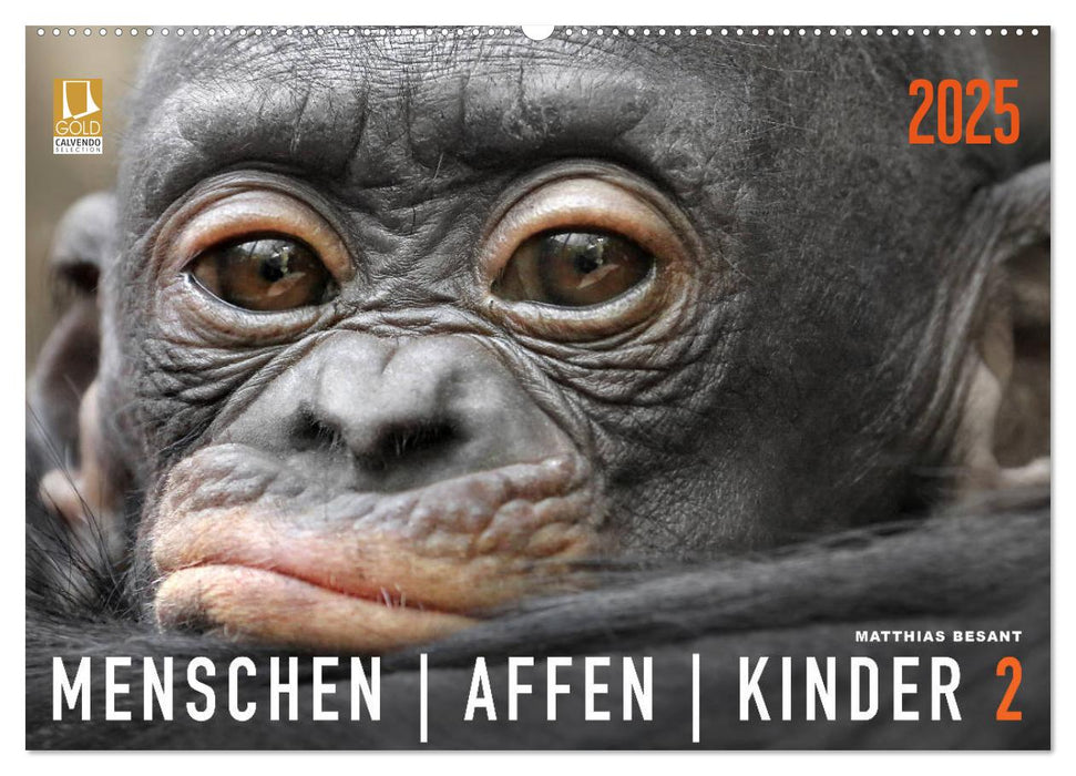 MENSCHENAFFENKINDER 2 (CALVENDO Wandkalender 2025)