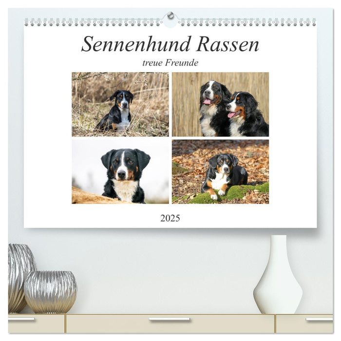 Sennenhund Rassen (CALVENDO Premium Wandkalender 2025)