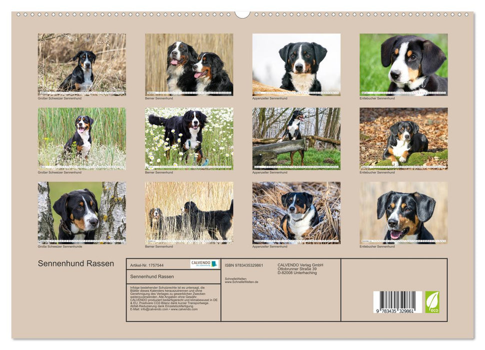 Sennenhund Rassen (CALVENDO Premium Wandkalender 2025)