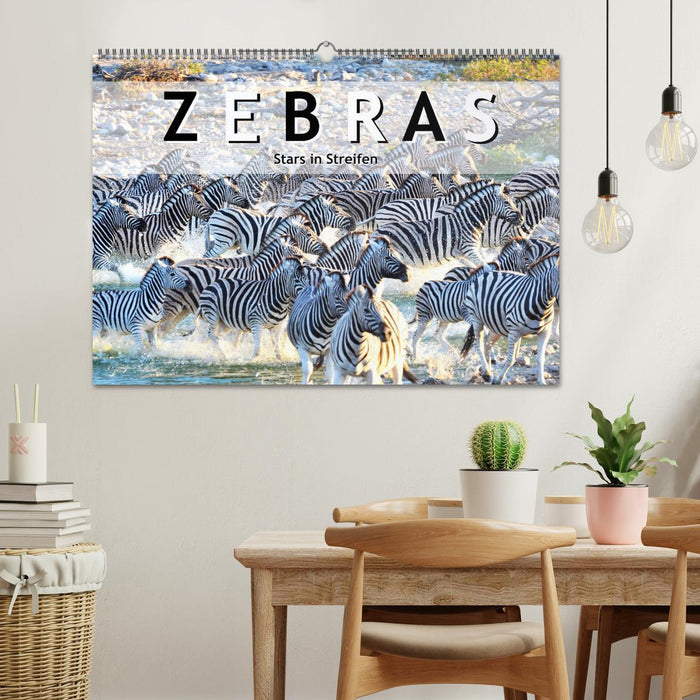 Zebras, Stars in Streifen (CALVENDO Wandkalender 2025)