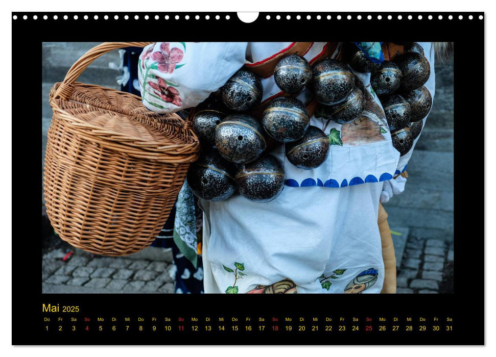 Rottweiler Narrensprung (CALVENDO Wandkalender 2025)