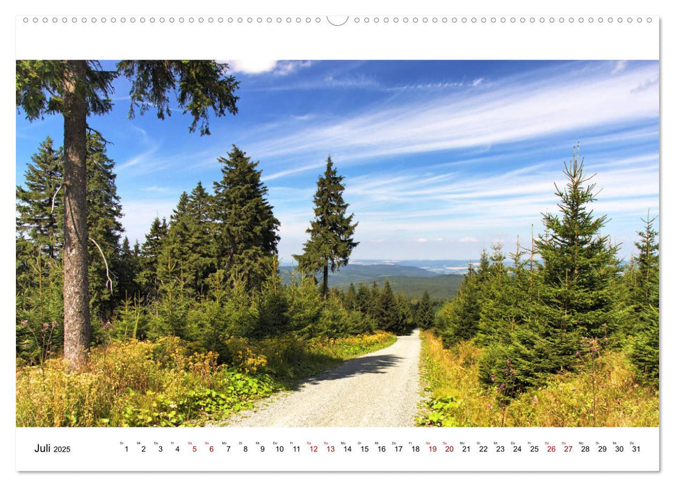 Einblicke in das Erzgebirge (CALVENDO Premium Wandkalender 2025)