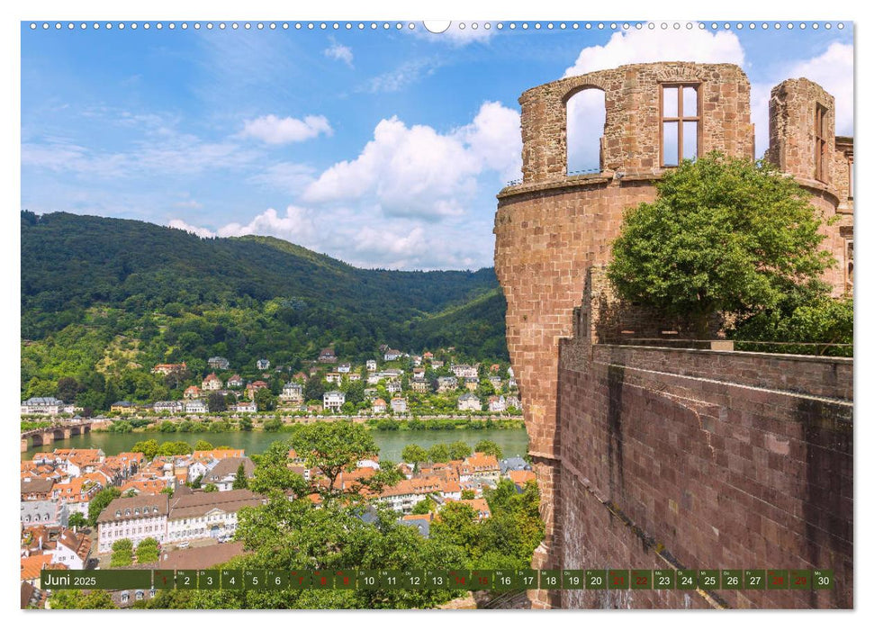 Heidelberger Neckarzauber (CALVENDO Wandkalender 2025)