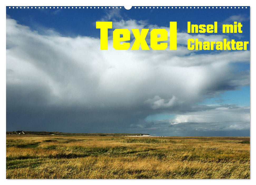 Texel Insel mit Charakter (CALVENDO Wandkalender 2025)