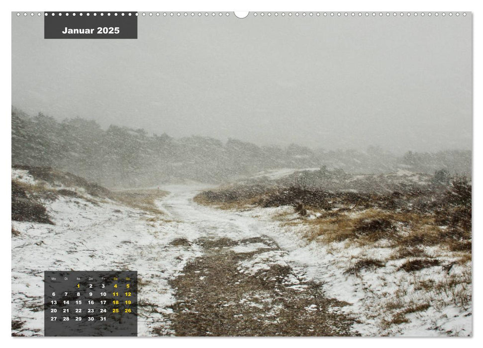 Texel Insel mit Charakter (CALVENDO Wandkalender 2025)