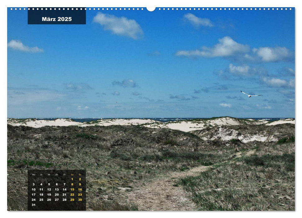 Texel Insel mit Charakter (CALVENDO Wandkalender 2025)