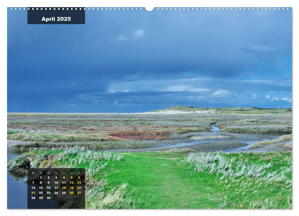 Texel Insel mit Charakter (CALVENDO Wandkalender 2025)