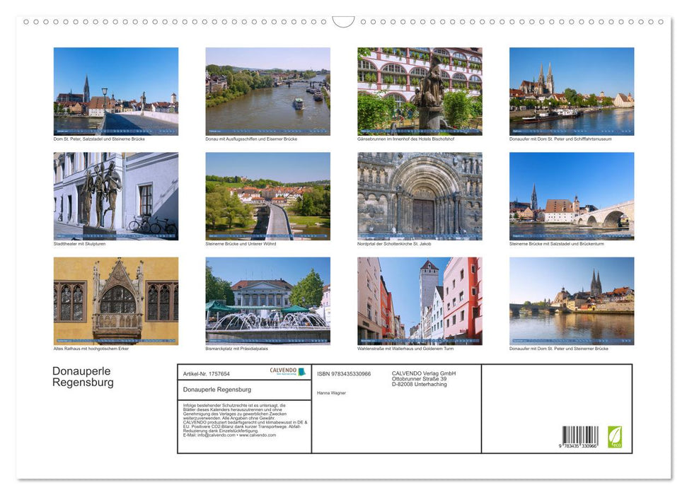 Donauperle Regensburg (CALVENDO Wandkalender 2025)