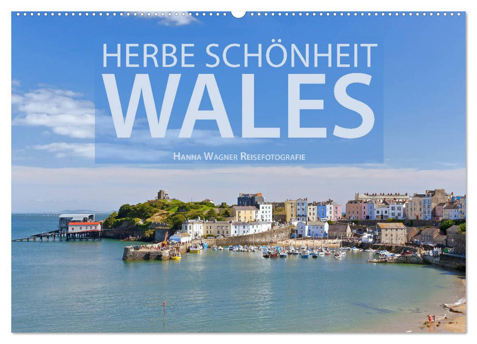 Herbe Schönheit Wales (CALVENDO Wandkalender 2025)