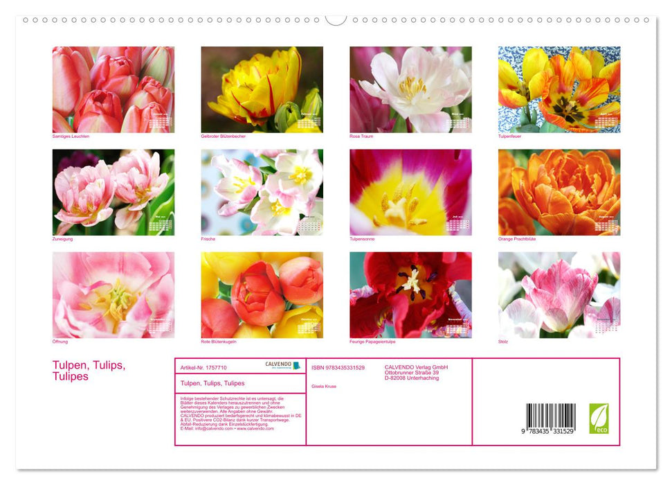 Tulpen, Tulips, Tulipes (CALVENDO Premium Wandkalender 2025)