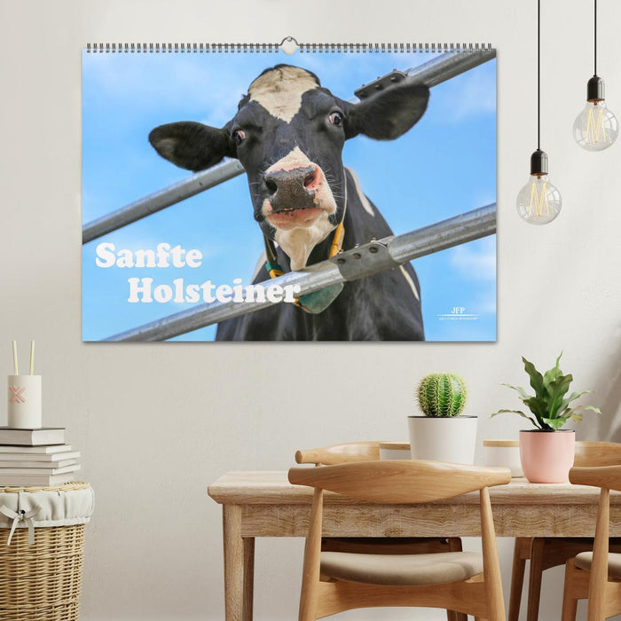 Sanfte Holsteiner (CALVENDO Wandkalender 2025)