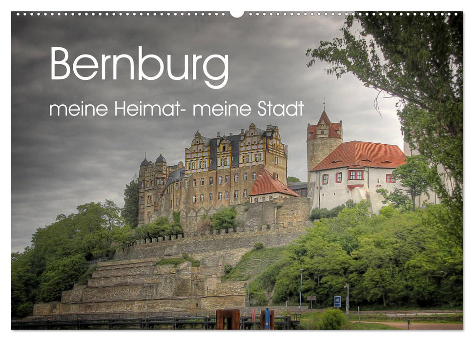 Bernburg meine Heimat - meine Stadt (CALVENDO Wandkalender 2025)