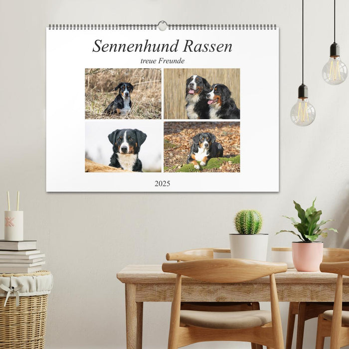 Sennenhund Rassen (CALVENDO Wandkalender 2025)