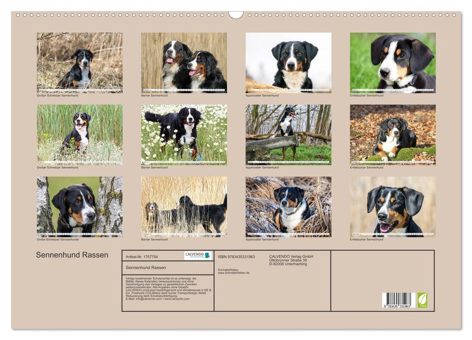 Sennenhund Rassen (CALVENDO Wandkalender 2025)