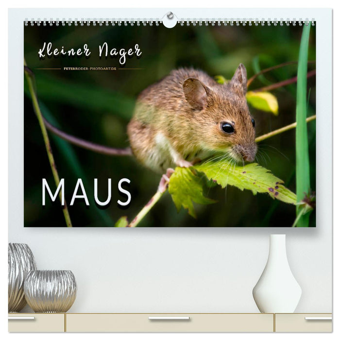 Kleiner Nager - Maus (CALVENDO Premium Wandkalender 2025)