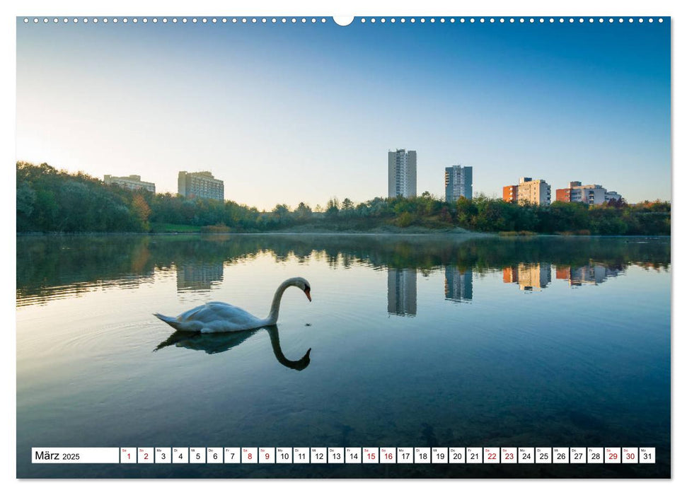 Halle-Saale - Meine Stadt im Spiegel (CALVENDO Wandkalender 2025)