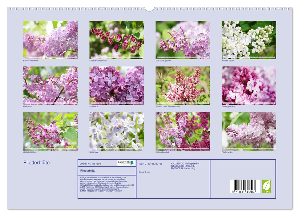 Fliederblüte (CALVENDO Premium Wandkalender 2025)