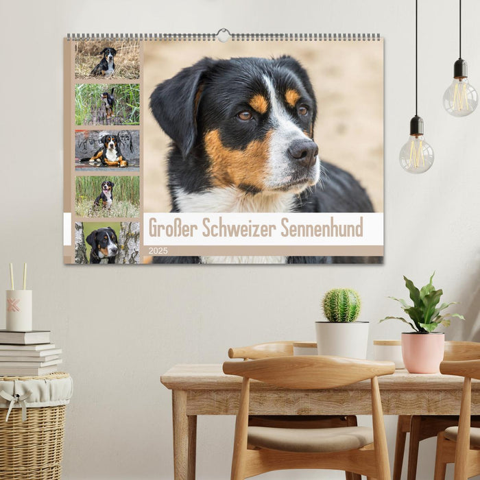 Großer Schweizer Sennenhund (CALVENDO Wandkalender 2025)