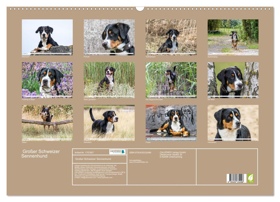 Großer Schweizer Sennenhund (CALVENDO Wandkalender 2025)