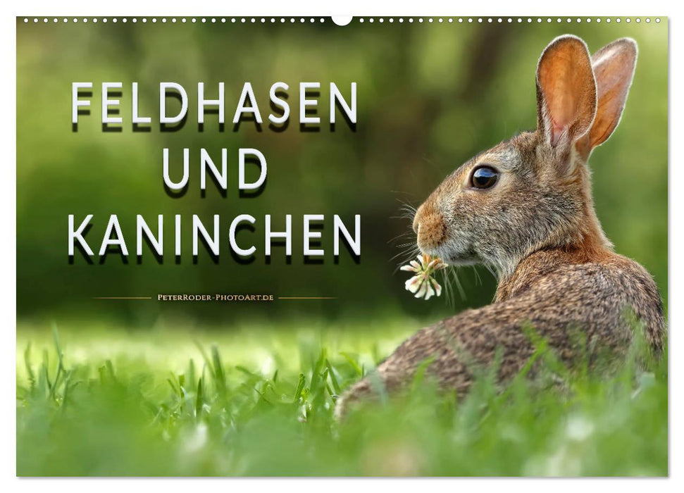 Feldhasen und Kaninchen (CALVENDO Wandkalender 2025)