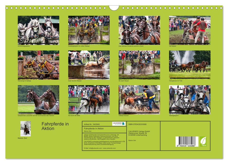 Fahrpferde in Aktion (CALVENDO Wandkalender 2025)