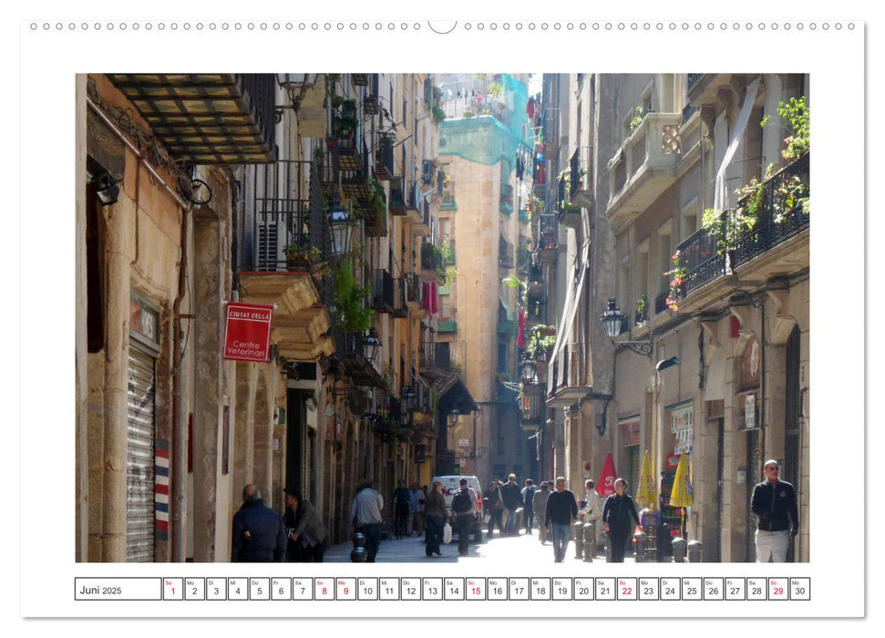 Trip nach Barcelona (CALVENDO Premium Wandkalender 2025)