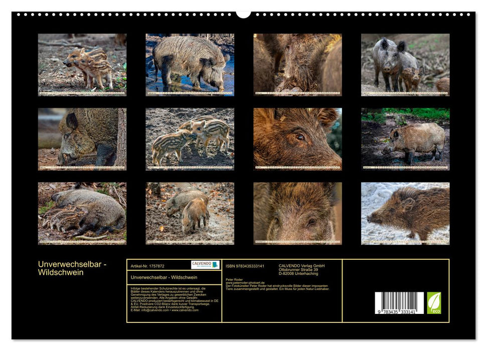 Unverwechselbar - Wildschwein (CALVENDO Premium Wandkalender 2025)