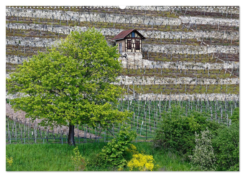 Weinberghäuschen - Schutz- und Werkzeughaus für den Weingärtner (CALVENDO Premium Wandkalender 2025)