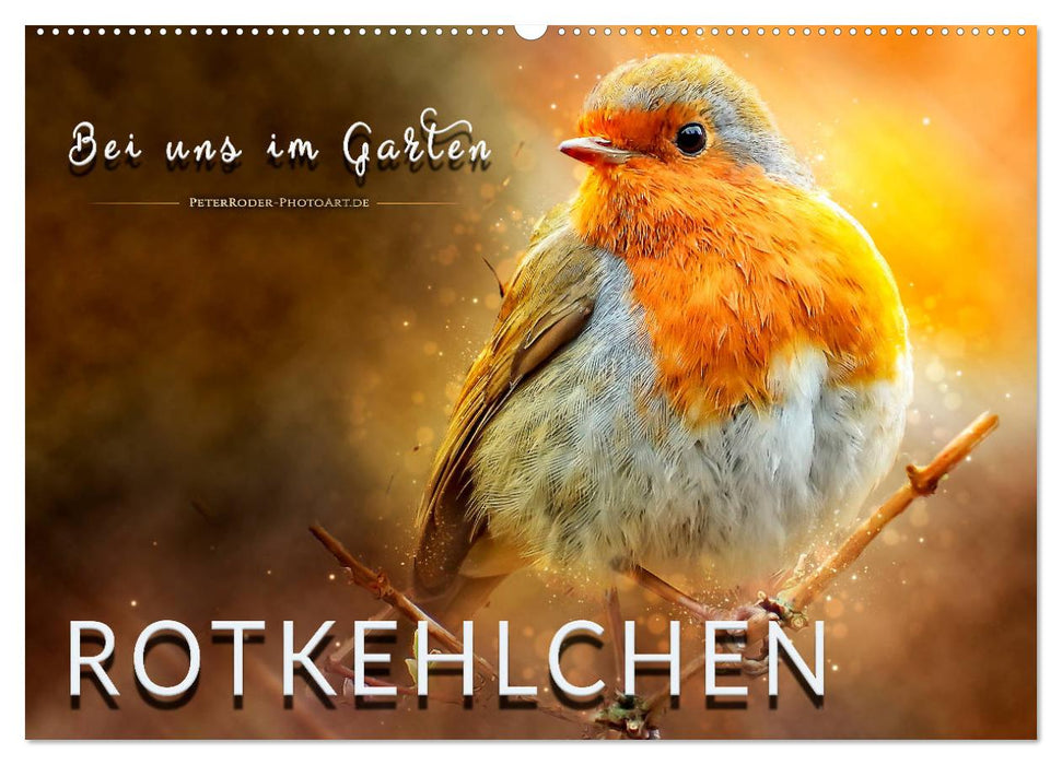 Bei uns im Garten - Rotkehlchen (CALVENDO Wandkalender 2025)