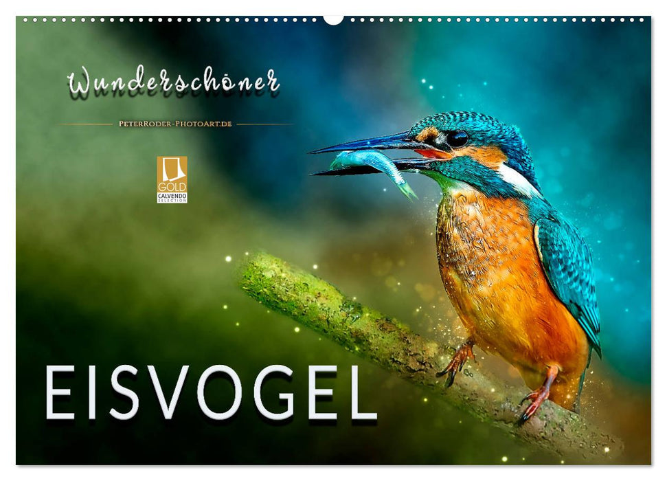 Wunderschöner Eisvogel (CALVENDO Wandkalender 2025)