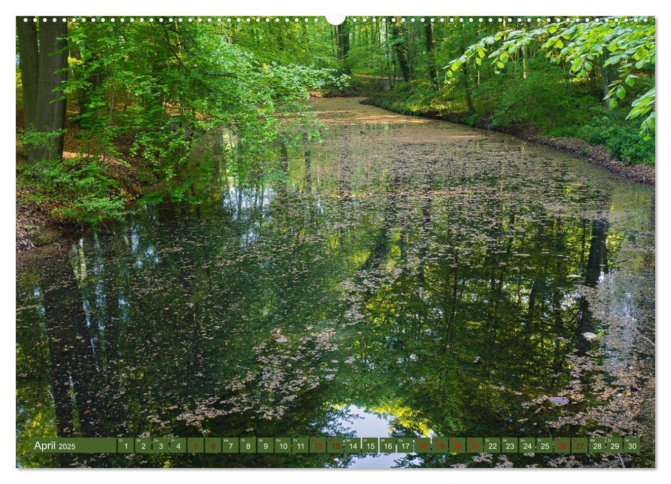 Das Steinfurter Bagno im Wandel der Jahreszeiten (CALVENDO Premium Wandkalender 2025)